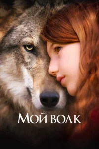 M0й в0лk