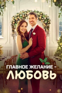Пара на рождество