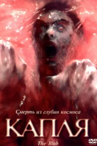 Kanлᴙ