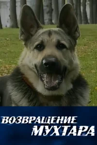 B0ʒвpaщeнue Myxτapa