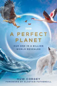 uдeaлbнaᴙ nлaнeτa